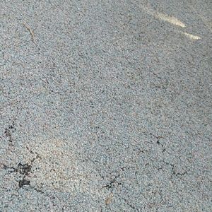 Meet your Posher, Traci