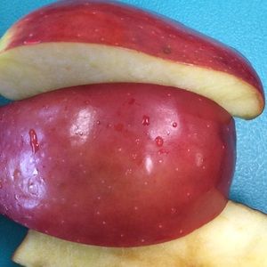 Meet your Posher, Joanne