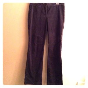 J. Jill Gorgeous Charcoal Gray Velvet Trousers 8