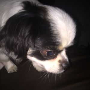 Meet your Posher, Stephen