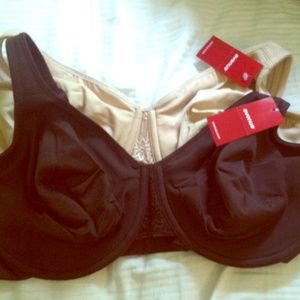 Final markdown chocolate brown underwire bra 40DD