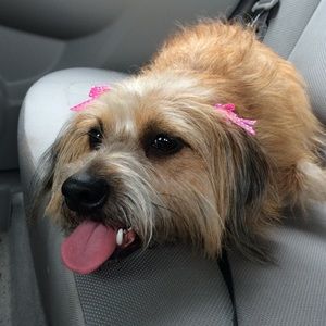 Meet your Posher, Spencer