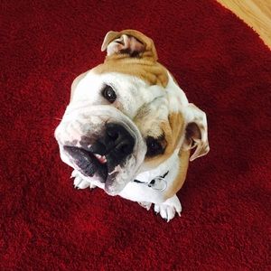 Meet your Posher, Jess