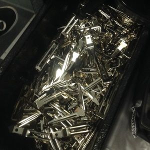 Professional hair clips