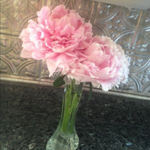 Meet your Posher, Terry