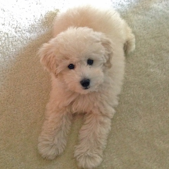 hello! - Picture 3 of 4