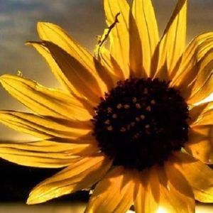 Meet your Posher, Mónica