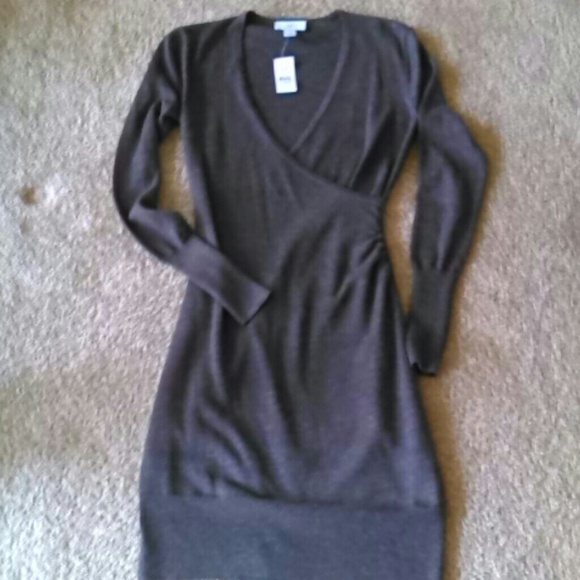 Ann Taylor Loft Long Sleeve Sweater Dress