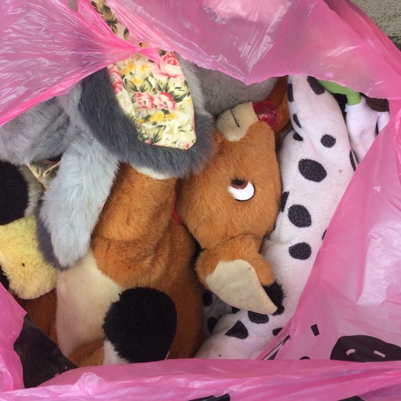 15 stuffed animals