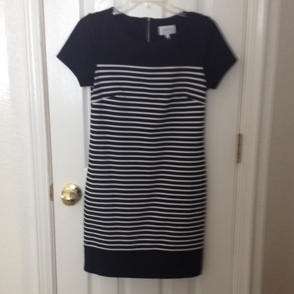 Laundry black and white strip dress size 6