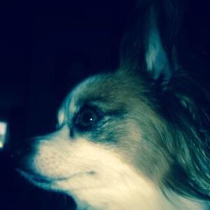 Meet your Posher, Jade