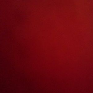 Meet your Posher, Robin