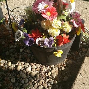 Meet your Posher, Dorothy