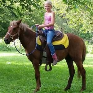 Meet your Posher, Travis