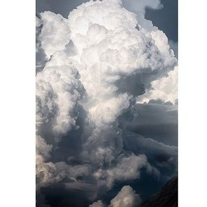 Meet your Posher, Ellie