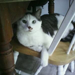 Meet your Posher, Mya