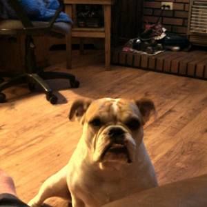 Meet your Posher, Vickie