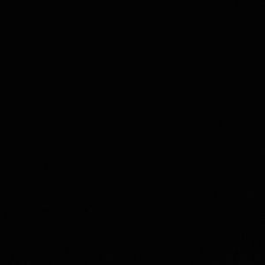 Meet your Posher, Lupe