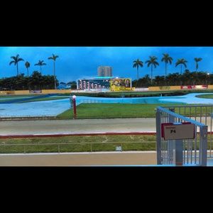 Meet your Posher, Ariel