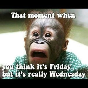 Meet your Posher, Jade