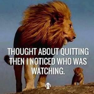 Meet your Posher, Mondarius