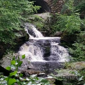 Meet your Posher, Bridget