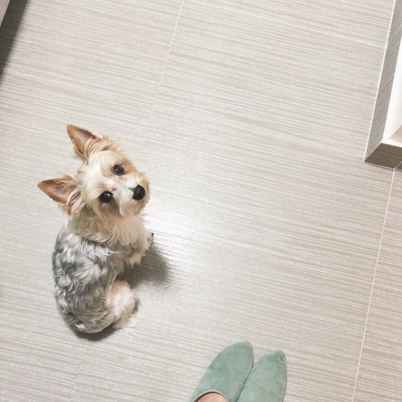 MY LITTLE BABY 🥰 - Picture 13 of 16