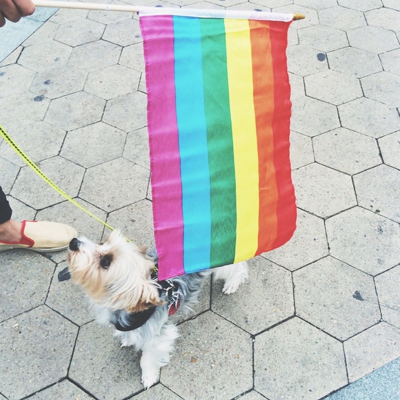 MY LITTLE BABY 🥰 - Picture 15 of 16