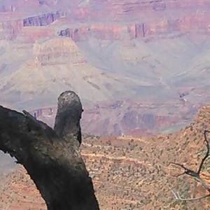 Meet your Posher, Lisset