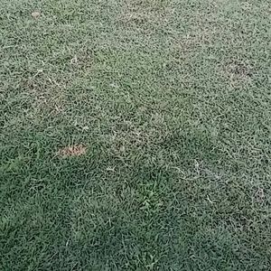 Meet your Posher, Katrina