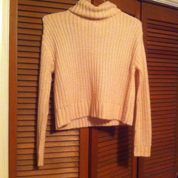 Turtle neck long sleeve crop