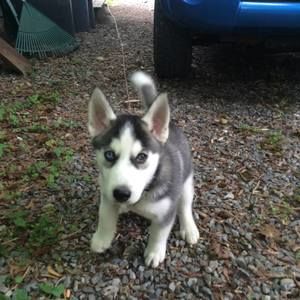 Meet your Posher, Tracy