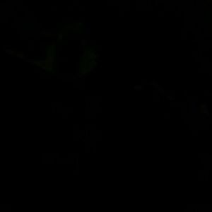 Meet your Posher, Ty