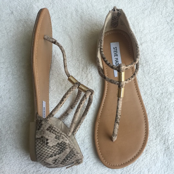 Steve Madden Rantt - Picture 2 of 4