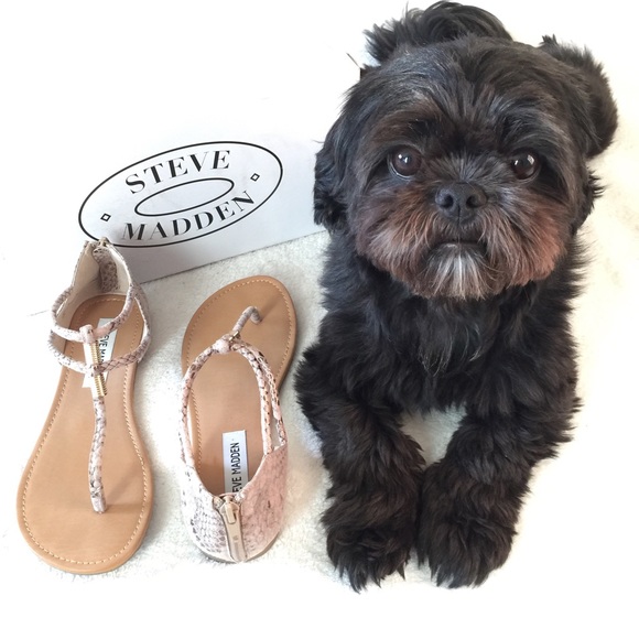 Steve Madden Rantt - Picture 4 of 4