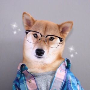 Meet your Posher, Madi