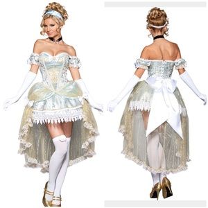Passionate Princess (Cinderella) Costume