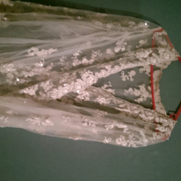 Wedding Gown Cover