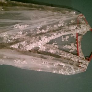 Wedding Gown Cover