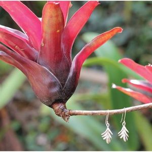 Bromeliads earrings