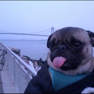 Meet your Posher, Karlei