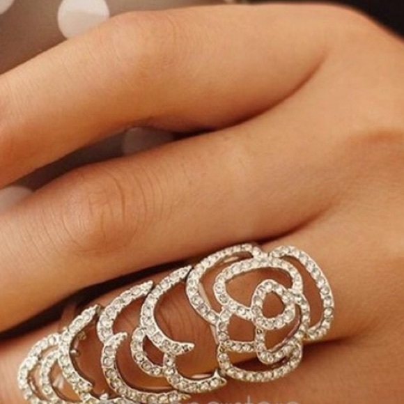 Gorgeous Knuckle Ring