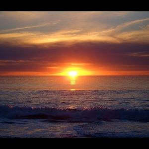 Meet your Posher, Sylvia