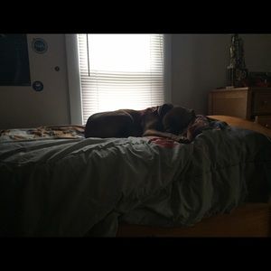 Meet your Posher, Charles