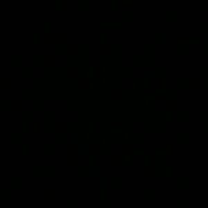 Meet your Posher, Reyna