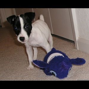 Meet your Posher, Carlton