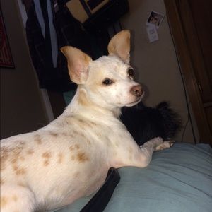 Meet your Posher, Nicholas