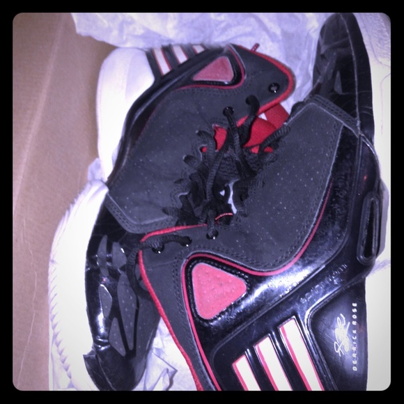 D.rose