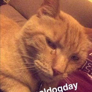 Meet your Posher, Kenjiro