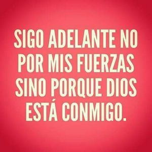 Meet your Posher, Sully